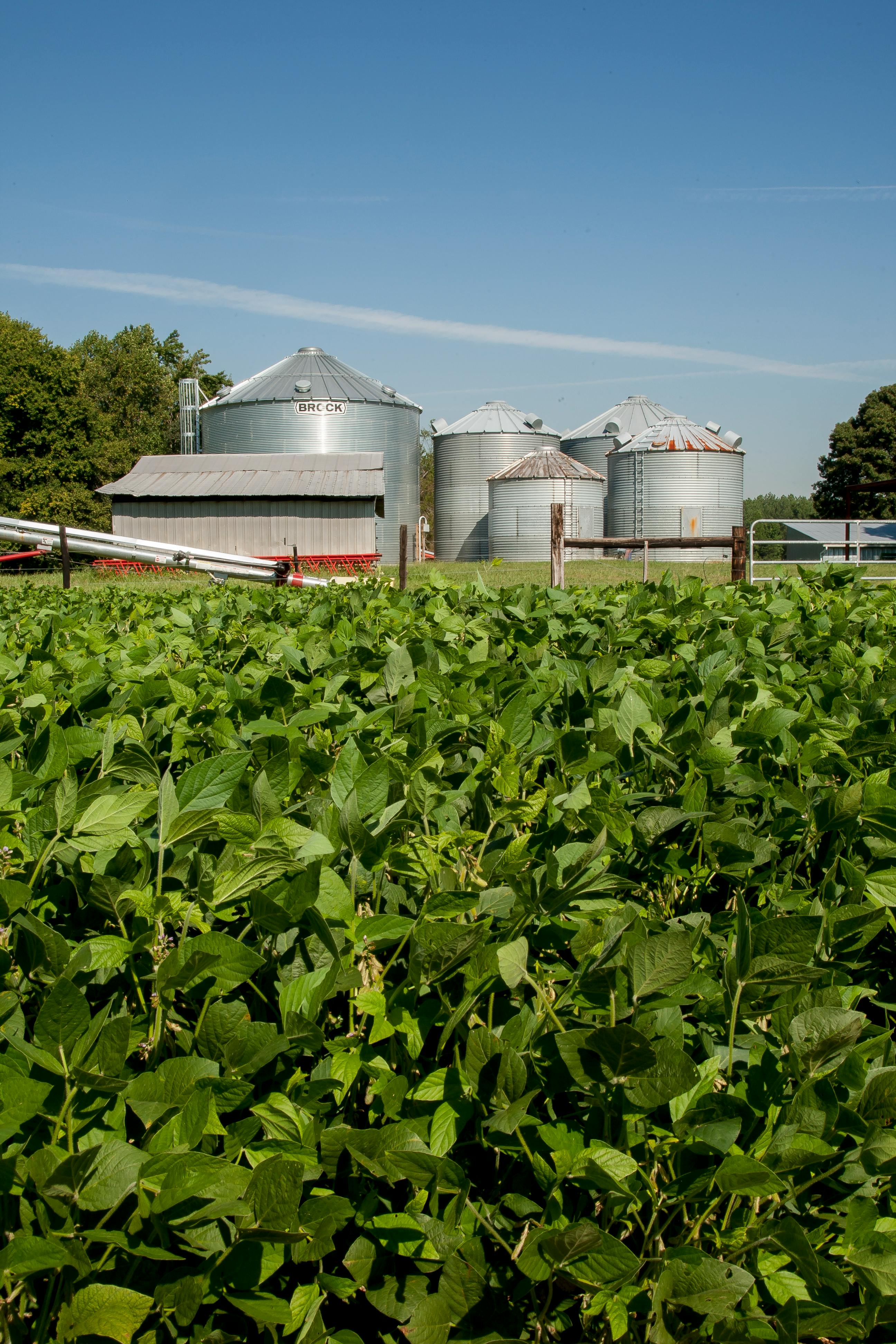 Supply Chain Financing